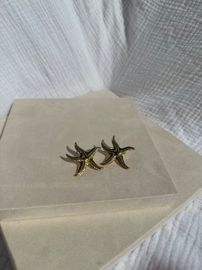 Boucles Maya