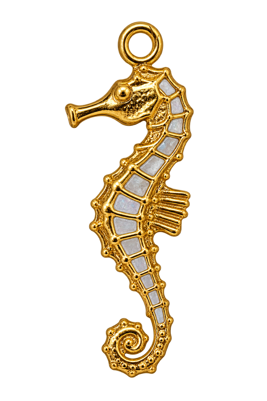 Charm océan
